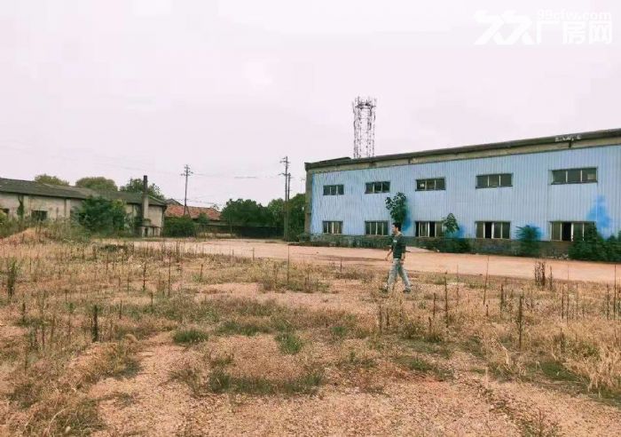 岳塘独栋仓库600平米，空坪1200平米