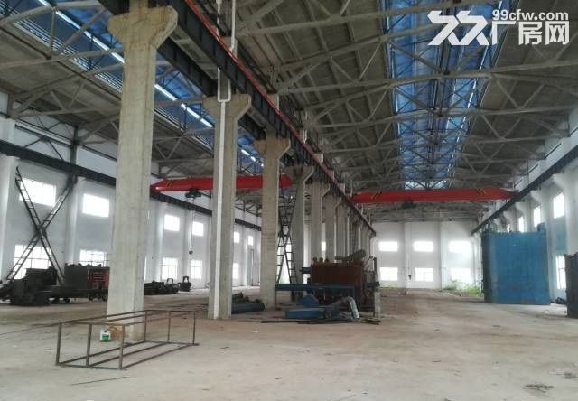 九华6000平米大小可整租分租 有行车专变-图6